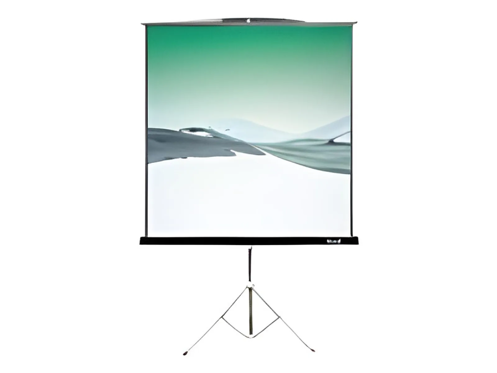 Klip Xtreme KPS-104 - Pantalla de proyección con trípode - 120" (305 cm) - 4:3-Blanco mate-blanco