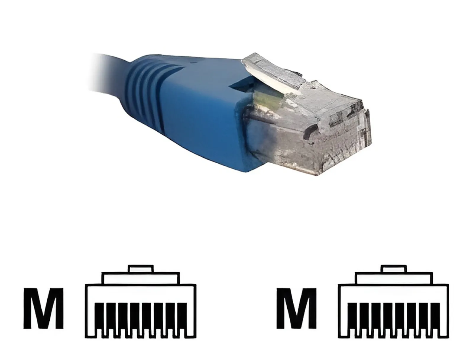 Nexxt - Cable de interconexión - RJ-45 (M) a RJ-45 (M) - 2.1 m-UTP-CAT 6-trenzado-azul