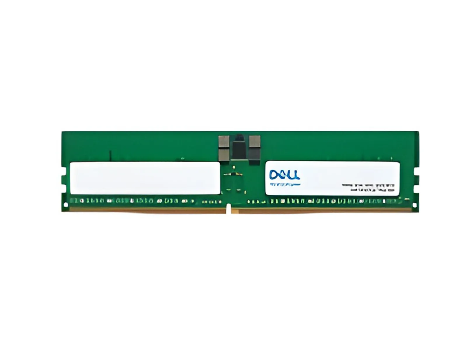 Dell - DDR5 SDRAM - 4800 MHz - Actualización de memoria - 16 GB RDIMM