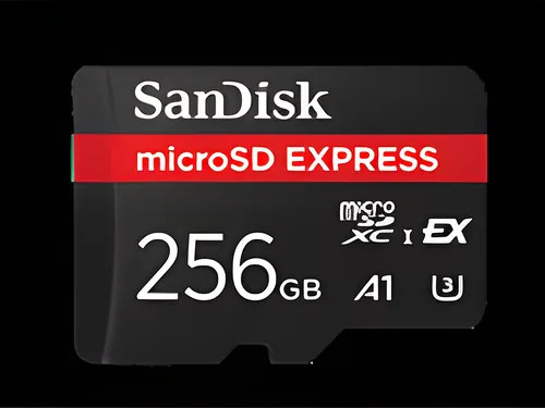 SanDisk - Tarjeta de memoria flash - microSD - 256GB - 880/650MB/sRPD2