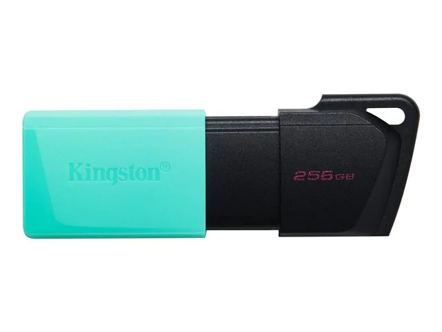 Kingston DataTraveler Exodia M - Memoria USB - 256 GB - USB 3.2 Gen 1