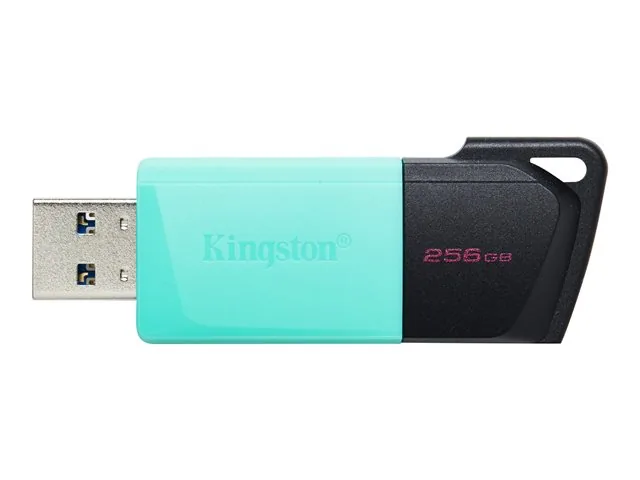 Kingston DataTraveler Exodia M - Memoria USB - 256 GB - USB 3.2 Gen 1