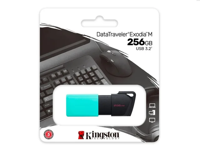 Kingston DataTraveler Exodia M - Memoria USB - 256 GB - USB 3.2 Gen 1